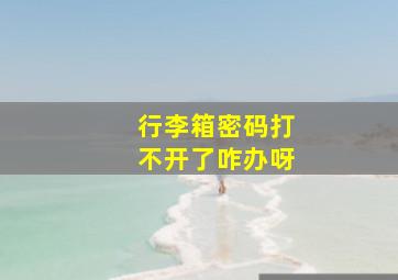 行李箱密码打不开了咋办呀