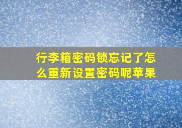 行李箱密码锁忘记了怎么重新设置密码呢苹果