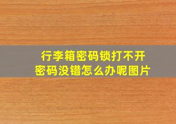 行李箱密码锁打不开密码没错怎么办呢图片