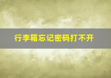 行李箱忘记密码打不开