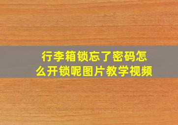 行李箱锁忘了密码怎么开锁呢图片教学视频