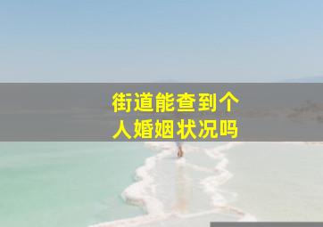 街道能查到个人婚姻状况吗