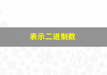 表示二进制数