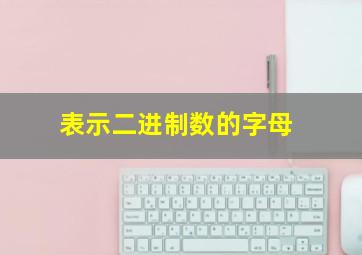 表示二进制数的字母