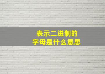 表示二进制的字母是什么意思