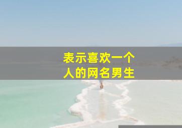 表示喜欢一个人的网名男生