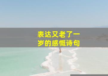 表达又老了一岁的感慨诗句