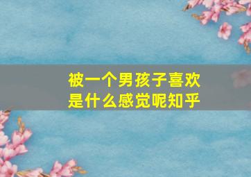 被一个男孩子喜欢是什么感觉呢知乎