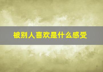 被别人喜欢是什么感受