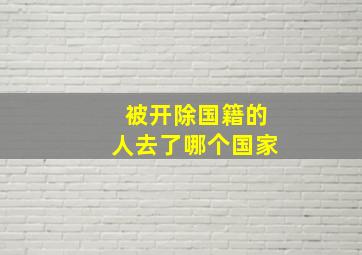 被开除国籍的人去了哪个国家