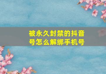 被永久封禁的抖音号怎么解绑手机号