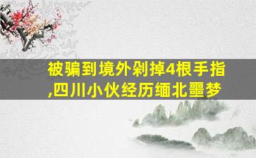 被骗到境外剁掉4根手指,四川小伙经历缅北噩梦