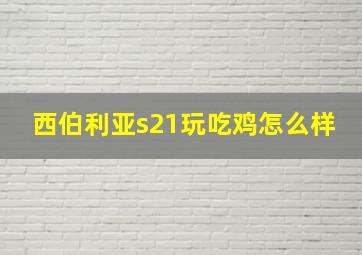 西伯利亚s21玩吃鸡怎么样