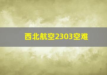 西北航空2303空难