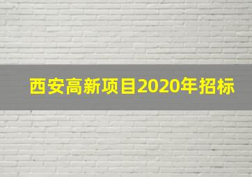 西安高新项目2020年招标