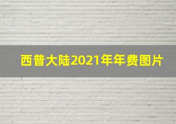 西普大陆2021年年费图片