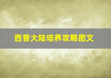 西普大陆培养攻略图文