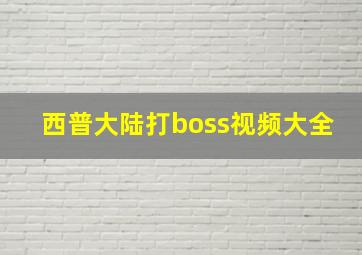 西普大陆打boss视频大全