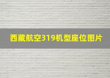 西藏航空319机型座位图片