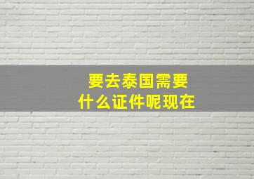 要去泰国需要什么证件呢现在