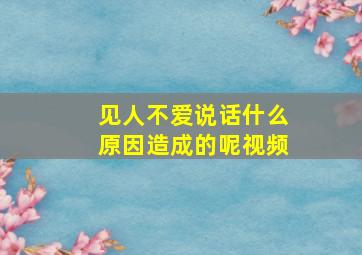 见人不爱说话什么原因造成的呢视频