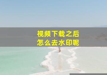 视频下载之后怎么去水印呢