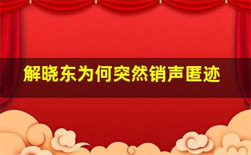 解晓东为何突然销声匿迹