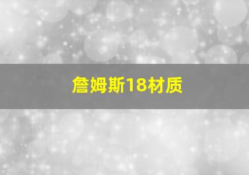 詹姆斯18材质