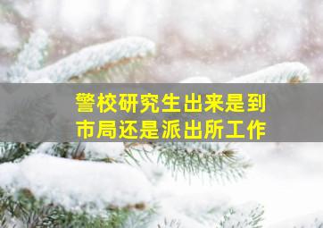 警校研究生出来是到市局还是派出所工作