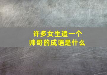 许多女生追一个帅哥的成语是什么