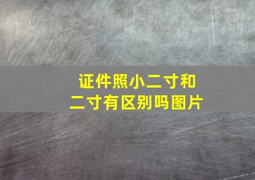 证件照小二寸和二寸有区别吗图片