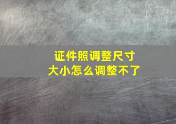 证件照调整尺寸大小怎么调整不了