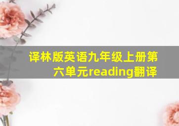 译林版英语九年级上册第六单元reading翻译