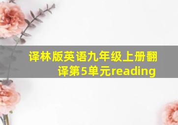 译林版英语九年级上册翻译第5单元reading