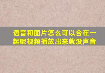 语音和图片怎么可以合在一起呢视频播放出来就没声音