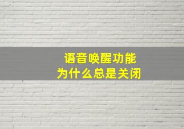 语音唤醒功能为什么总是关闭