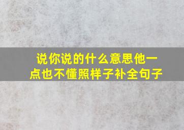 说你说的什么意思他一点也不懂照样子补全句子