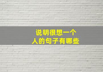 说明很想一个人的句子有哪些