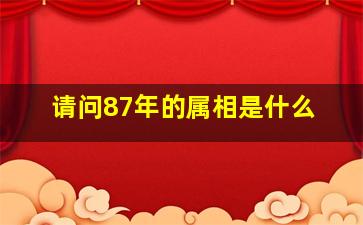 请问87年的属相是什么