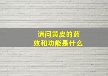 请问黄皮的药效和功能是什么