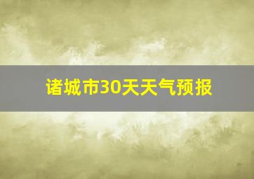 诸城市30天天气预报