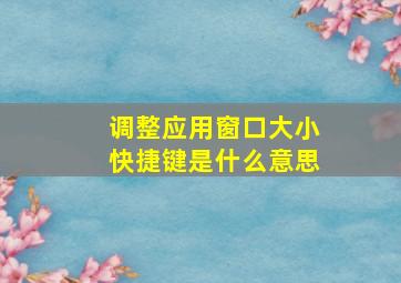 调整应用窗口大小快捷键是什么意思