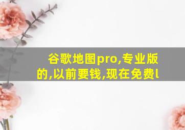 谷歌地图pro,专业版的,以前要钱,现在免费l