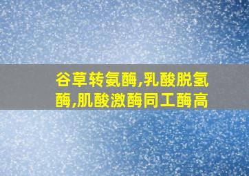 谷草转氨酶,乳酸脱氢酶,肌酸激酶同工酶高