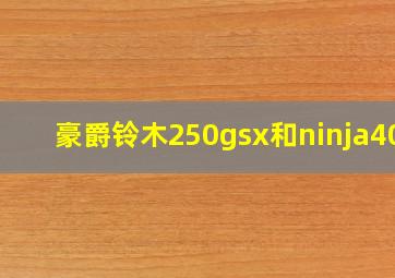 豪爵铃木250gsx和ninja400