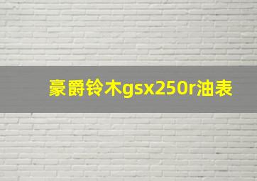 豪爵铃木gsx250r油表