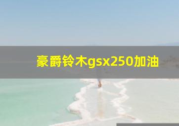 豪爵铃木gsx250加油