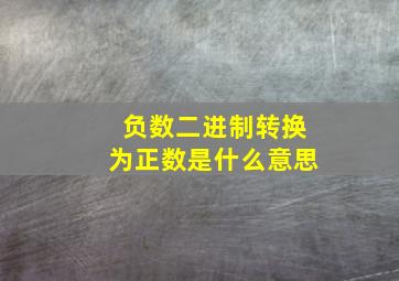 负数二进制转换为正数是什么意思