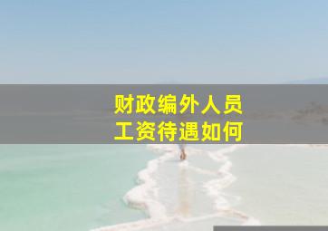 财政编外人员工资待遇如何