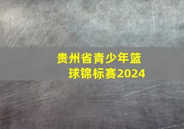 贵州省青少年篮球锦标赛2024